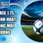 Kèo tài xỉu 1.75 RR88